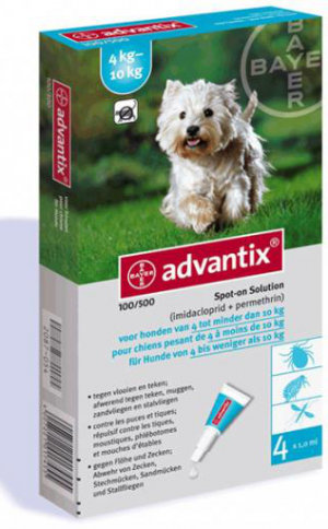 אדוונטיקס לכלב 4-10 ק”ג